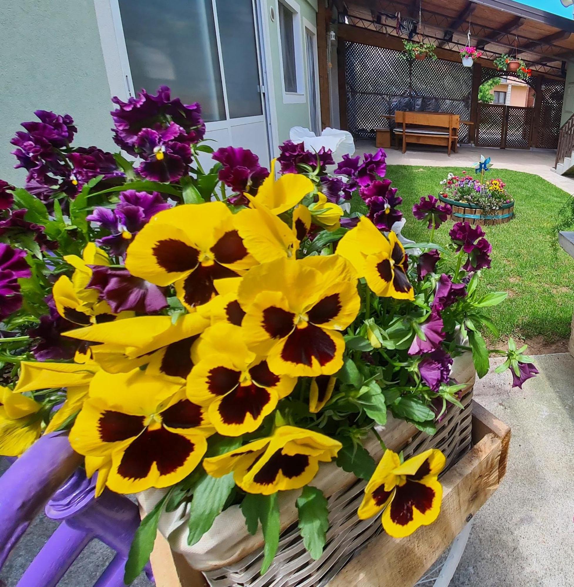 Ana Apartment Gracac  Luaran gambar